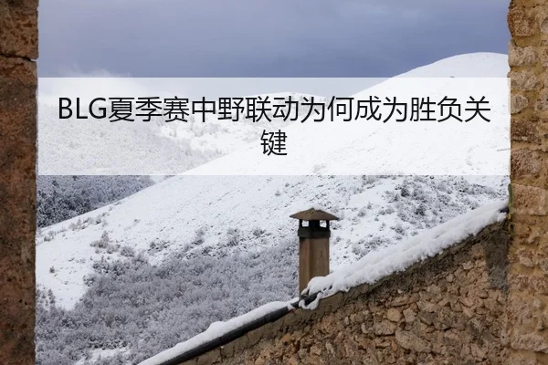 BLG夏季赛中野联动为何成为胜负关键